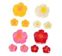 TOPPERFUN 12 Pièces Flower Claw Clips Set Gradient Plumeria Hair Accessories In Lightweight Hawaiian Style For Women And Summer Beach Vocation