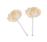 TOPPERFUN 2 Pièces Diffuseur de Roseaux Bohème Fleur de Pivoine en Papier Tetrapanax Beige, Diffusion de Parfum Longue Durée, Accessoire Artisanal pour Bureaux et Chambres