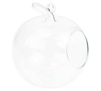 TOPPERFUN Bouteille en Verre Forme De Pomme Vase Micro-Paysage Décoratif pour Plantes Et Petites Fleurs Jardin Chambre 4.72In