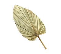 TOPPERFUN Feuille de Palmier Séchée Naturelle Verte Olive, Décoration Murale Artistique pour Mariage, Fête et Vitrine, Accessoire de Décoration Intérieure en Plante Séchée, 1 Pièce