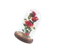 TOPPERFUN Lampe LED Fleur Préservée Rose Rouge sous Dôme en Verre sans Piles, Décoration Intérieure Romantique pour Salon et Chambre, Ornement de Fleur Éternelle Lumineuse