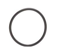 TOPRAN joint pour pompe de carburant, 100 842