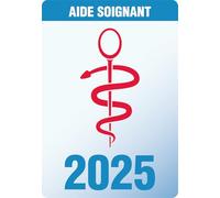 TOPSTUFF - Caducées Soignants 2025 - Autocollant pour Pare-Brise Voiture - Vitrophanie Résiste aux UV (Aide Soignant)