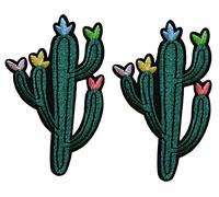 topt rasta ecusson lot 2 Cactus Mexique Mexicain Tequila Arbre thermocollant 10x7cm patche Badge