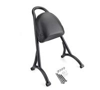 Topteng Sissy Bar de Moto, Dossier de Sissy Bar de Passager arrière avec Coussin adapté pour Sportster Iron Nightster 883 1200 XL, Noir