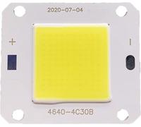 TOPXCDZ Lot de 10 LED COB 12 V 32 V 50 W - Pilote IC intelligent intégré - Haute performance - 12 V - LED COB - Blanc froid - Blanc chaud - Rouge - Bleu - Vert - Orange - Spectre complet (blanc chaud