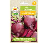 Toraf Graines de légumes Betterave rouge foncée, paquet de 20g