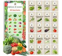 TORAF Kit de Graines de Légumes 20 Variétés - Graine Premium pour Jardin, Balcon et Potager - Tomate, Concombre, Roquette, Laitue, Oignons rouges, Piment - Kit de culture de plantes potagères
