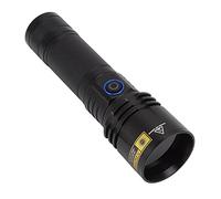 Torche de Lumière Noire Rechargeable 365nm Lampe Ultraviolette 20W Lampe de Poche de Charge USB pour Détection de Taches Sèches D'urine D'Animaux NDT Fournitures pour Animaux