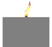 Torche de table en métal - Cartouche de torche rechargeable - Lampe de poche en citronnelle avec flamme décorative, lampe de poche robuste pour patio, jardin