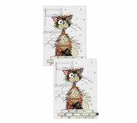 Torchon en etui céadeau Chat Ziggy Kiub Kook (x2) Blanc 50x70x0,1 cm
