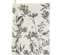 Winkler - Torchon Isam avec attache - 50x70cm - Tissu absorbant 100% coton - Serviette à vaisselle, chiffon de nettoyage