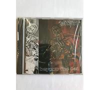 Torchure - Beyond The Veil