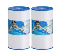 TOREAD Lot de 2 filtres de rechange pour spa Unicel C-4335, PRB35-IN, Filbur FC-2385, 03FIL1300, 17-2482, 25393, 303557, 817-3501, R173431, 5 x 9 filtres de jacuzzi