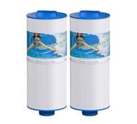TOREAD Lot de 2 filtres de spa 6CH-960 - Remplace les filtres jacuzzi J-300, J400, PJW60TL-F2S, 14081, 6000-383A, Unicel 6CH-960, Filbur FC-2800, 6540-383, avec poignée fermée (non amovible)