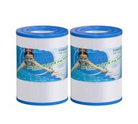 TOREAD Lot de 2 filtres de spa PDM28 pour spa Aquarest Dream Maker 461273