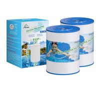 TOREAD Watkins 31114 Lot de 2 filtres de Rechange pour Spa Tiger River - Certifié NSF-50 - Compatible avec Unicel C-8465, PWK65, Filbur FC-3960, 71827, 71828 - Filtre Spa à Ressorts Chauds de 6 m²