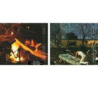 Tori Amos - Caught A Lite Sneeze by Tori Amos