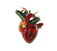 Torn Arteries by Carcass [CD] NEUF