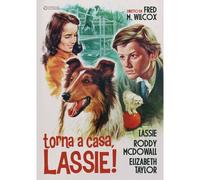 Torna A Casa Lassie Avec Taylor Bruce Dowall - Dvd