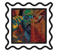 Toro Y Moi - Anything in Return (10thanniversary Picture Discs)