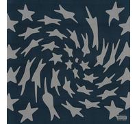 Toro y Moi - Hole Erth (Black Biovinyl LP + Signed Insert) [VINYL]