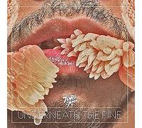 Toro Y Moi - Underneath the Pine (10th Anniversary)