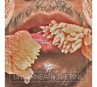 Toro Y Moi - Underneath the Pine