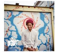 Toro Y Moi - What for [Import]