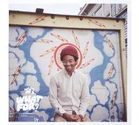 Toro Y Moi - What for [Import]