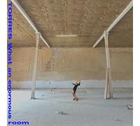 Torres - What An Enormous Room -Blue Jay & White Vinyl-