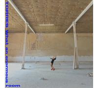 Torres - What an Enormous Room [New Vinyl LP] Black, Digital Download