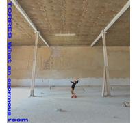 Torres - What An Enormous Room -Blue Jay & White Vinyl-