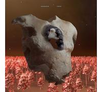 Torso CD