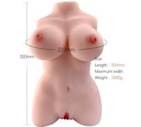 Torso Réaliste Féminin Armony Modèle 3, Conception Haute Précision - Couleur: Nude, Poids: 3.93 Kg, Taille: 35 cm x 21 cm x 14 cm