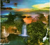 Tortoise - It's All Around You