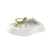 Tortoise Water Dish - Non-Slip Ladder Reptile Bathing Pool │Multi-Purpose Landscaping Tortoise Soaking Dish │ Reptile Feeding Dish │ Aquarium Ornament for Turtle