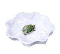 Tortue - d'appât, Bain de Tortue -Dissimulation de Grande capacité - d'appât de Tortue de Piscine -Compact à l'habitat, Geckos et Riverbank -Dessins d'insectes Reptiles, Le pôle Tortue