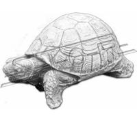 Tortue de jardin Décoration Figure Terrasse 523 Statue Sculpture Figures Nouveau