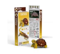 EUGY Puzzle 3D Tortue N° 104 – Jouet créatif écologique en carton recyclé, éducatif 6–99 ans