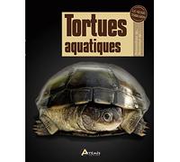 Tortues aquatiques