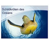 Tortues de l'océan, Version française (Calendrier mural 2026 DIN A3 portrait), Calendrier CALVENDO mensuel