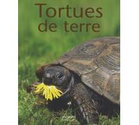 Tortues de terre