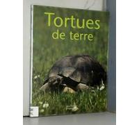 Tortues de terre: Bien les comprendre et bien les soigner, les conseils d'un expert pour votre animal favori