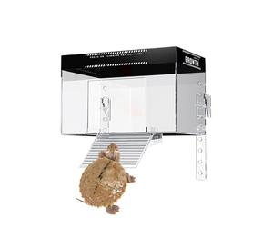 Tortues Île ensoleillée - Tortues pour animaux de compagnie - Place de soleil au-dessus de l'aquarium - Accessoire d'habitat rural avec zone de repos pour observation des animaux dans le salon