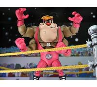Tortues Ninja Archie Comics Cryin Houn Dlx Af Action Figure Neca