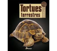 Tortues terrestres