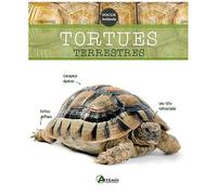Artemis – Tortues terrestres