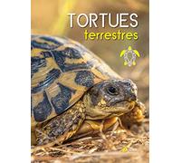 Tortues terrestres