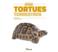 Tortues Terrestres